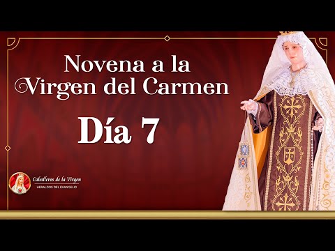 Novena a la Virgen del Carmen  Día 7   Padre Ricardo del Campo  #novena #escapulario