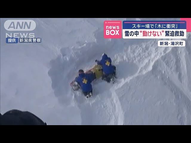 Image of Man Rescued After Tree Collision at Niigata Ski Resort