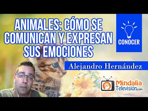 Animales: Cómo se comunican y expresan sus emociones, por Alejandro Hernández