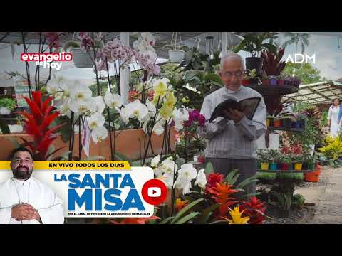 EVANGELIO DE HOY Jueves 19 de Septiembre, Padre Efrai?n, Arquidio?cesis de Manizales