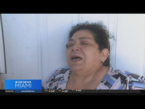 2 family members dead in altercation in SW Miami-Dade; man arrested