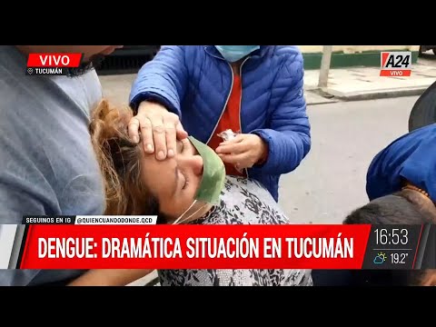 Dengue: dramática situación en Tucumán y en Buenos Aires