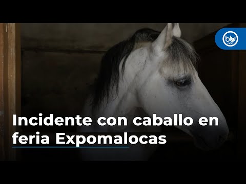 Me dieron más de 30 días de incapacidad: afectado por incidente con caballo en feria Expomalocas