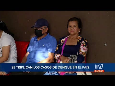 Sto. Domingo y Manabí son las provincias que presentan las cifras más altas de contagios de dengue