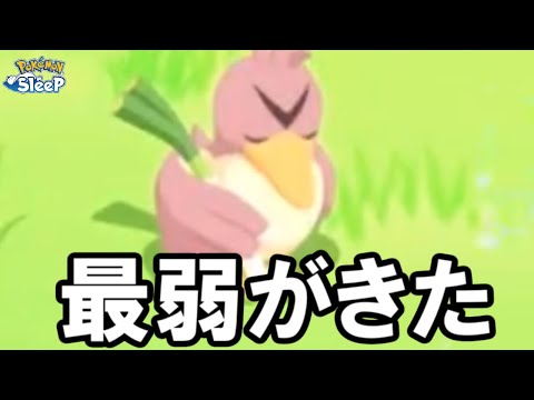 この世の全てを放棄した伝説の鳥が現れた。【ポケモンスリープ】