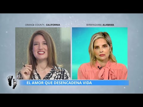 INFORME PROVIDA - 2023-08-25 - EL AMOR QUE DESENCADENA VIDA