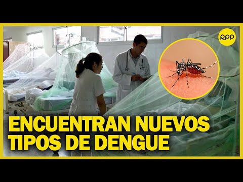 INS informa nuevos tipos de dengue más contagiosos