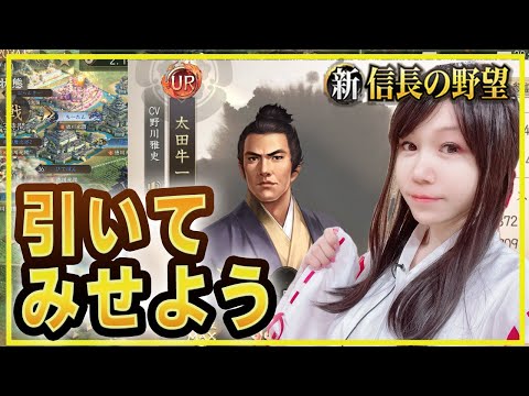 💗【シンノブ】暴走抵抗とは…！！英傑ガチャに挑戦するから見届けろ！【#新信長の野望】349