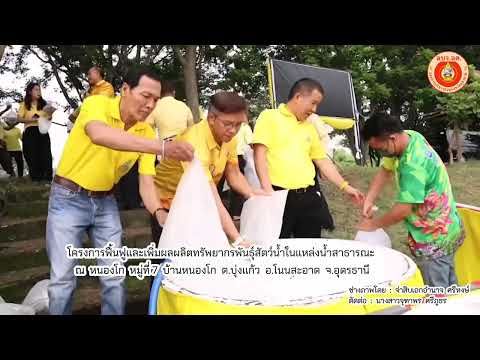 โครงการฟื้นฟูและเพิ่มผลผลิตทรั