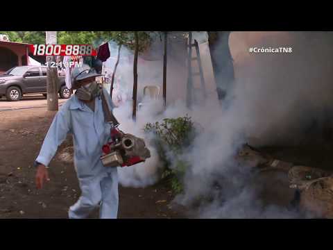 Intensifican prevención del dengue en el barrio Carlos Núñez - Nicaragua