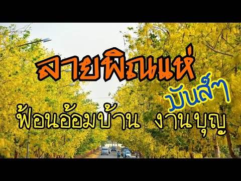 ลายพิณแห่-ฟ้อนอ้อมบ้าน-งานบุญ- ลายพิณแห่-ฟ้อนอ้อมบ้าน-งานบุญ-