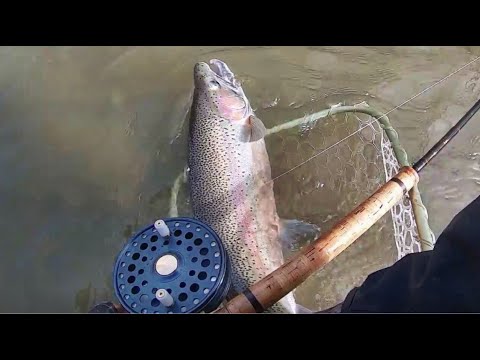 how not to net a fish + new float fishing setup + dg centerpin + cts float rod