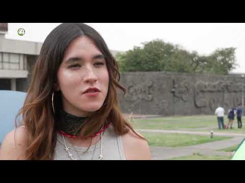 Un granito de arena: estudiantes mexicanos protestan por la guerra en Gaza