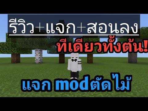 รีวิว+แจก+สอนลงmodminecraftตั