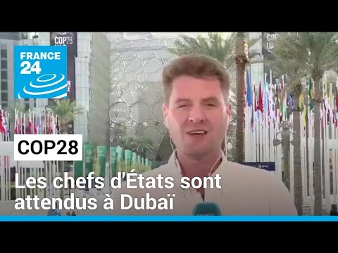 COP28 à Dubaï : de nombreux chefs d'État sont attendus sur place • FRANCE 24