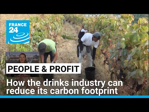 Sustainable sipping: How the drinks industry can reduce its carbon footprint • FRANCE 24 English