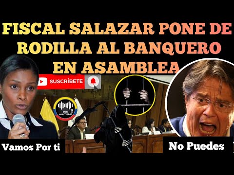 FISCAL DIANA SALAZAR PONE DE RODILLAS AL BANQUERO LASSO EN LA COMISIÓN DE LA ASAMBLEA NOTICIAS RFE