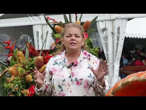 La Parada de las Flores en Volcán, Chiriquí. Panamá