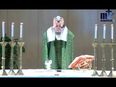 La Santa Misa de hoy l Domingo XIII del Tiempo Ordinario| 30-06-2024 l Pbro. Javier Martín, FM