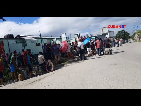 Tenemos que cocinar con CARBÓN, como en el Período Especial: CUBANOS sufren escasez de gas licuado