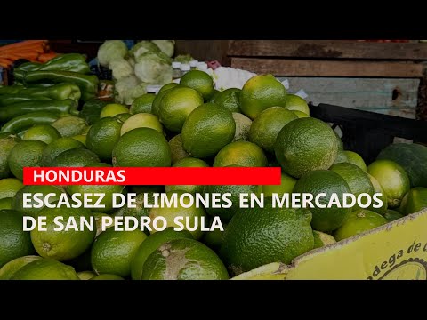 Escasez de limones en mercados de San Pedro Sula