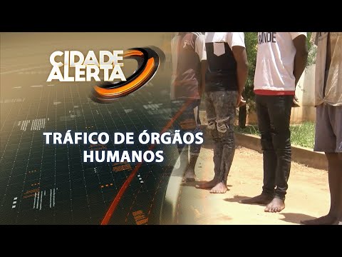 Cidade Alerta: Detidos supostos traficantes em Gorongosa #cidadealerta #tvmiramar