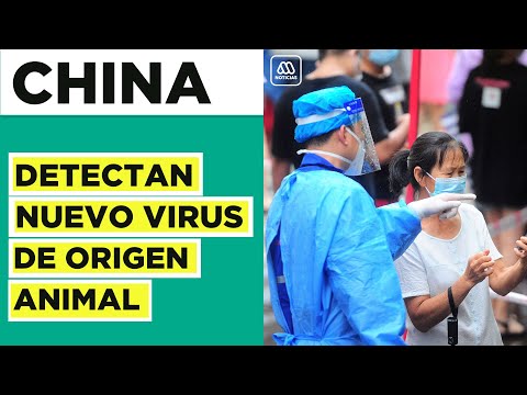 Nuevo virus de origen animal detectado en China: Langya es el foco de atención de científicos