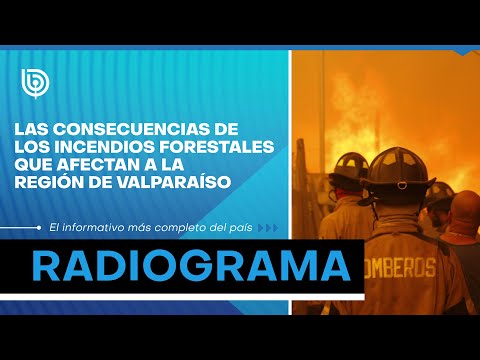 Las consecuencias de los incendios forestales que afectan a la región de Valparaíso
