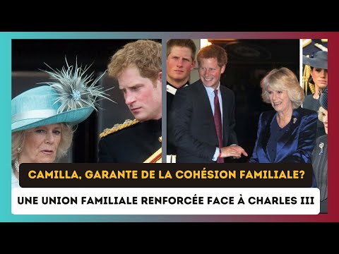 Soutien Inde?fectible de Camilla ? Harry ne sera pas seul dans ses discussions avec Charles III