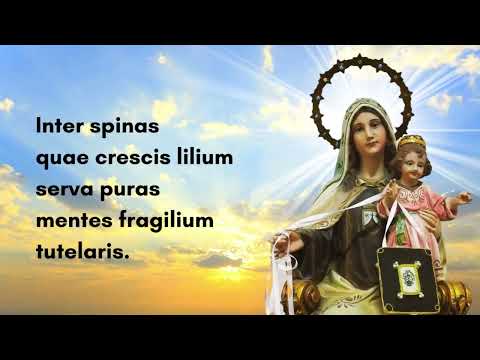 Video-Tarjeta Saludo por la Virgen del Carmen.