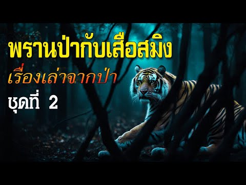 Ruammit Channel รวมเรื่องเล่าจากป่าพรานป่ากับเสือสมิงชุดที่2