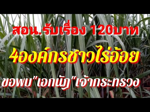 สอน.รับเรื่อง120บาท4องค์กรช