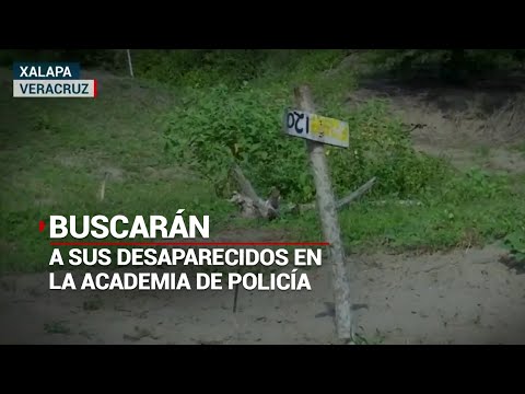 Buscadoras no se rinden: mantienen la esperanza de encontrar a sus familiares