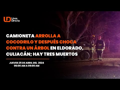 Camioneta arrolla a cocodrilo y después choca contra un árbol en Eldorado Culiacán; hay tres muertos