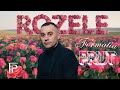 Formatia Prut - Rozele I Audio 2025