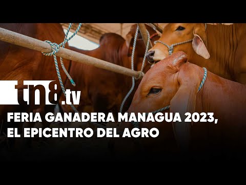 La Feria Ganadera Managua 2023: el epicentro del agro en Nicaragua