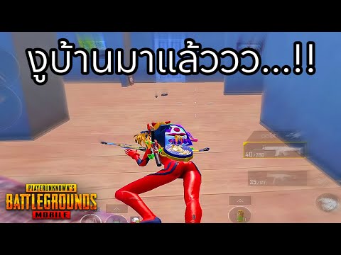 ✅PUBGMOBILE|งูบ้านตัวนี้จะก