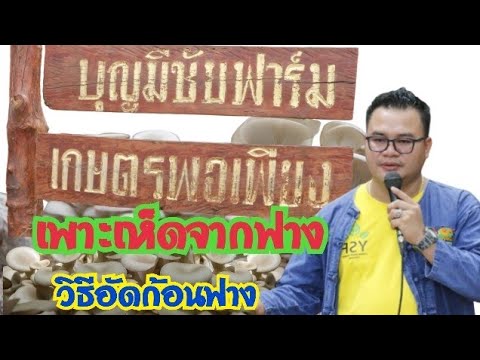 วิธีอัดก้อนฟางข้าว-เพาะเห็ดจ วิธีอัดก้อนฟางข้าว-เพาะเห็ดจ