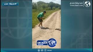 تمساح يعض رجل امام عائلته