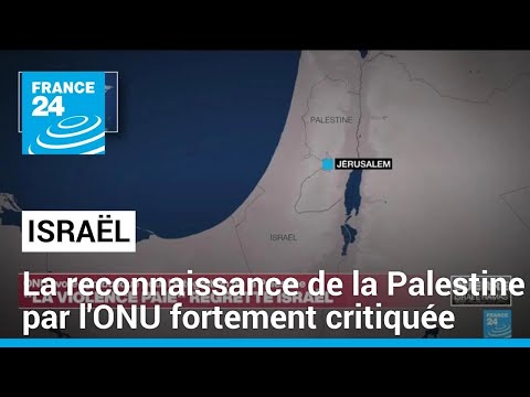 Reconnaissance de la Palestine à l'ONU : les autorités israéliennes fulminent • FRANCE 24