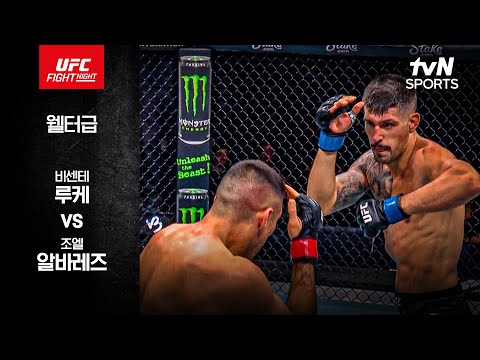 [UFC] 비센테 루케 vs 조엘 알바레즈
