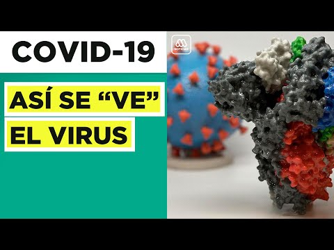 Así se ve un virus de COVID-19