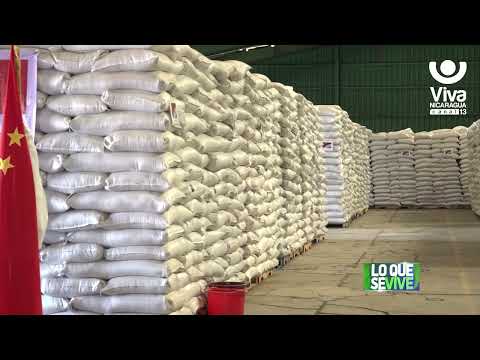 Nicaragua recibe 1 mil 332 toneladas de trigo donadas por China