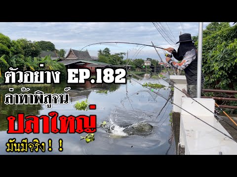 ตัวอย่าง-EP:182-“ล่าท้าพิสูจน์ ตัวอย่าง-EP:182-“ล่าท้าพิสูจน์
