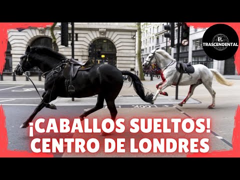 CABALLOS SIEMBRAN EL CAOS EN EL CENTRO DE LONDRES