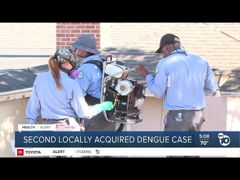 Second local dengue case investigated in San Diego County