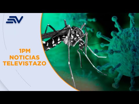 En Ecuador se registran 17 043 casos de dengue  | Televistazo | Ecuavisa