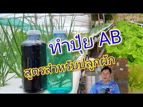 ทำปุ๋ยABสูตรสำหรับปลูกผัก