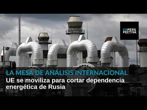 Europa, el gas y el petróleo de Rusia: ¿Cómo zafar de la dependencia?