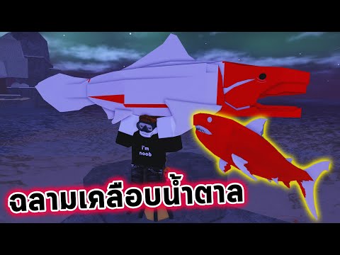 ตกฉลามเคลือบน้ำตาลRobloxFisc